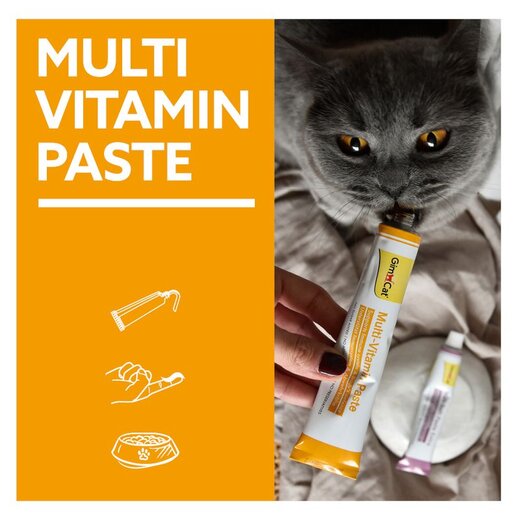 GimCat Multi-Vitamin Paste