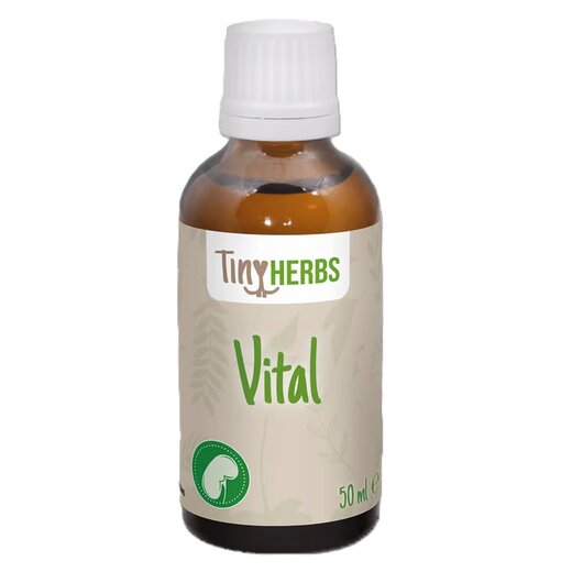 cdVet TinyHerbs Vital Nager