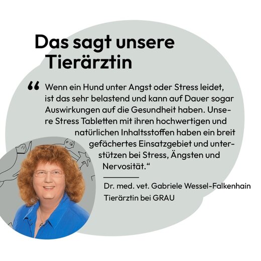 grau Stress Tabletten