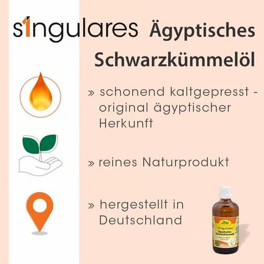 cdVet Singulares gyptisches Schwarzkmmell