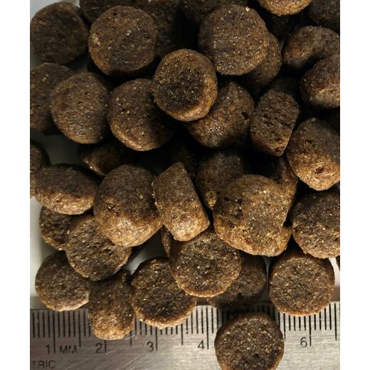 Regal Large Breed Recipe 18,2 kg