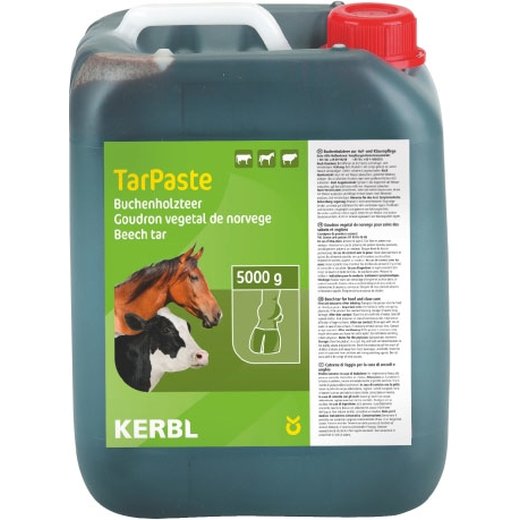 Buchenholzteer TarPaste - 1 kg