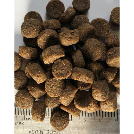 Regal Large Breed Puppy Recipe 11,8 kg (MHD 8/23)